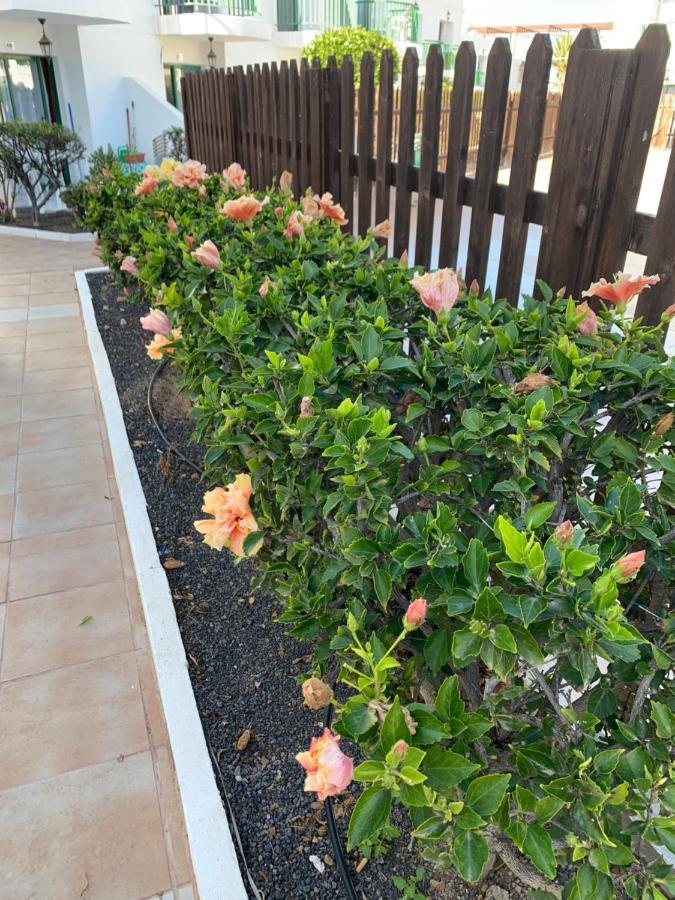 San Valentine Apartamento Corralejo Exterior foto